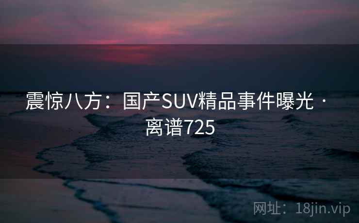 震惊八方：国产SUV精品事件曝光 · 离谱725