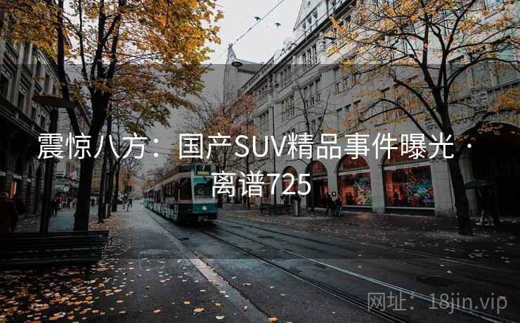 震惊八方：国产SUV精品事件曝光 · 离谱725