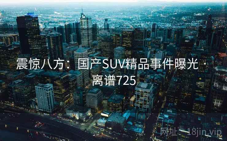 震惊八方：国产SUV精品事件曝光 · 离谱725