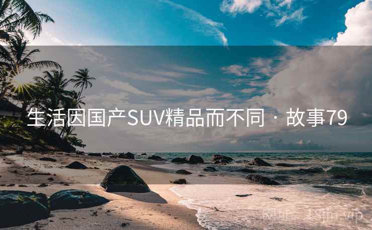 生活因国产SUV精品而不同 · 故事79